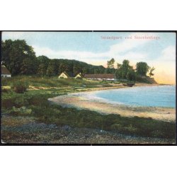 Strandparti ved Storeheddinge - Alex Vincent 79