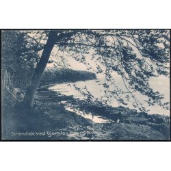 Stranden ved Gjorslev B&oslash;geskov - Stender 15292