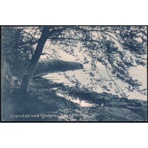 Stranden ved Gjorslev Bøgeskov - Stender 15292