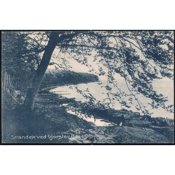 Stranden ved Gjorslev B&oslash;geskov - Stender 15292