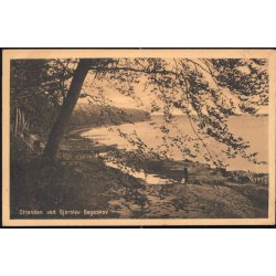 Stranden ved Gjorslev B&oslash;geskov - Stender 15292