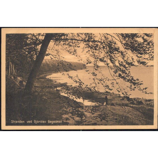 Stranden ved Gjorslev B&oslash;geskov - Stender 15292