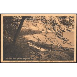 Stranden ved Gjorslev B&oslash;geskov - Stender 15292