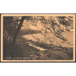 Stranden ved Gjorslev Bøgeskov - Stender 15292