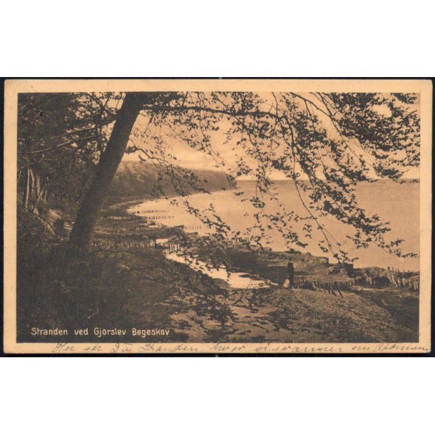 Stranden ved Gjorslev B&oslash;geskov - Stender 15292