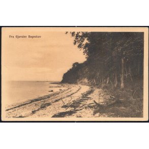 Fra Gjorslev Bøgeskov - Stender 44828