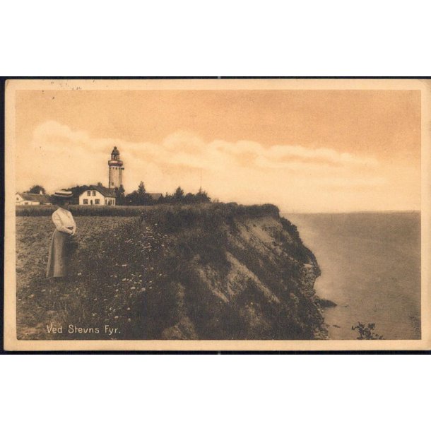 Ved Stevns Fyr - Stender 24236