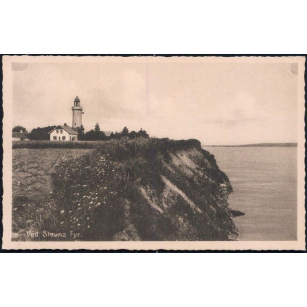 Ved Stevns Fyr - Stender Stevns 9