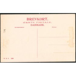 Stevns Klint - Kridtformationen ved H&oslash;jerup Kirke -W.K.F. 5238