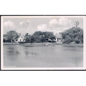 Parti fra Højerup - Svend Jensen 78734