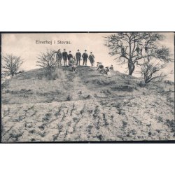 Elverh&oslash;j i Stevns - Rudolf Thomsen 3549