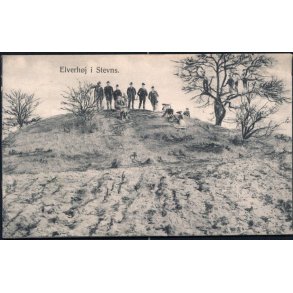 Elverhøj i Stevns - Rudolf Thomsen 3549