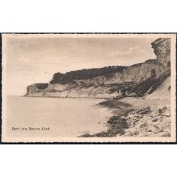 Parti fra Stevns Klint - Stender 17