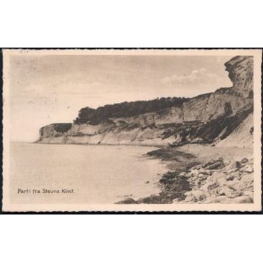 Parti fra Stevns Klint - Stender 17