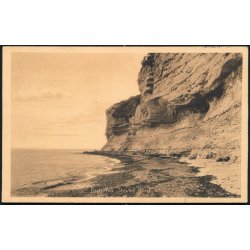 Parti fra Stevns Klint - Stender 28155