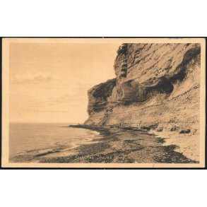 Parti fra Stevns Klint - Stender 28155