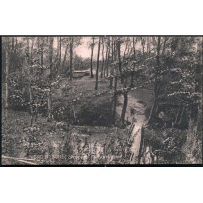 Vordingborg - Skovparti i Vintersbølle - Willerups Bogh. 12284