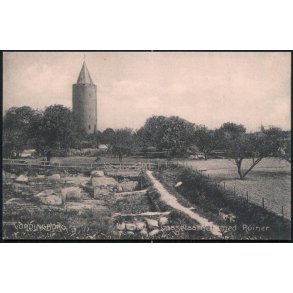 Vordingborg - Gaasetaarnet med Ruiner - Fr. Thunes Bogh. 5583