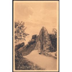 Vordingborg - Ruinparti ved Udsigtsh&oslash;jen - Willerups Bogh. 29059