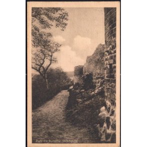 Parti fra Ruinerne -Vordingborg - Fr. Thunes Bogh. 14587