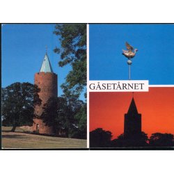 Vordingborg - G&aring;set&aring;rnet - Trojaborg VO 6