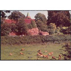 Vordingborg - Dyreengen - Fr. Thunes Bogh. 101 175