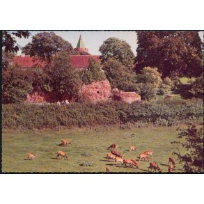 Vordingborg - Dyreengen - Fr. Thunes Bogh. 101 175