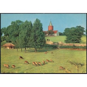 Vordingborg - Gåsetårnet - O.P.O. 6523- 3