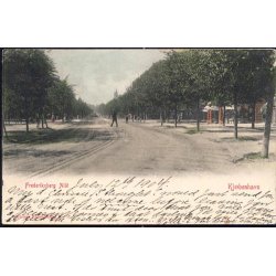 Kj&oslash;benhavn - Frederiksberg Alle - W. 17