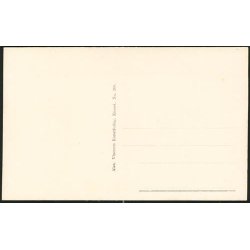 K&oslash;benhavn - Frederiksberg Alle - A.V. 268