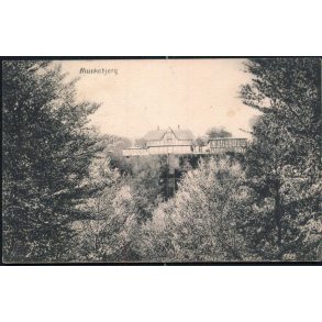 Munkebjerg - N.J. Mehlsen 6829