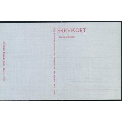 Udsigt fra Verandaen paa Munkebjerg -Hvidehus 17751