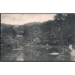 S&oslash;en paa Munkebjerg - N.J.Mehlsen 4797