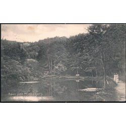 S&oslash;en paa Munkebjerg - N.J.Mehlsen 4797
