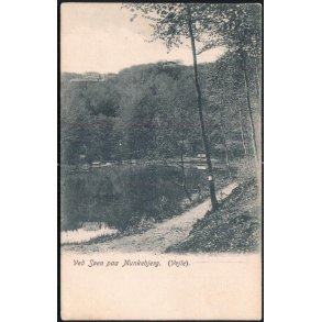 Ved S&oslash;en til Munkebjerg (Vejle) C. Neumanns u/n