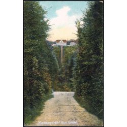 Munkebjerg (Vejle) Vej til Hotellet - C. Neumanns u/n