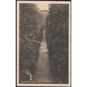 Munkebjerg (Vejle) Vej til Hotellet - C. Neumanns 15295