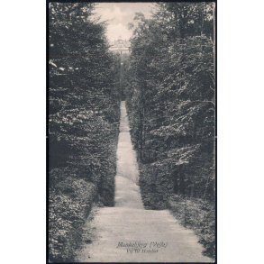 Munkebjerg (Vejle) Vej til Hotellet - C. Neumanns 11 15913