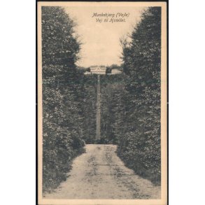 Munkebjerg (Vejle) Vej til Hotellet - C. Neumanns 10 64054