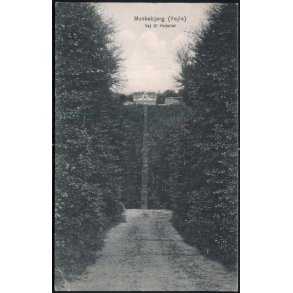 Munkebjerg (Vejle) Vej til Hotellet - 08 49769