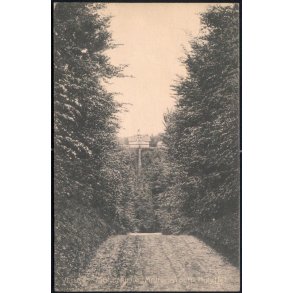 Vejle - Munkebjerg - Midtvejen op til Hotellet - H.B. 10289