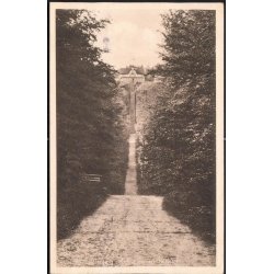 Vejle - Munkebjerg - Midtvejen til Hotellet - Hvidehus 19274