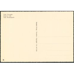 Vejle - Torvegade - Stenders 49 717/24