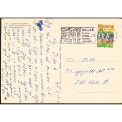 Vejle - G&aring;gaden - Stenders 149 717 062