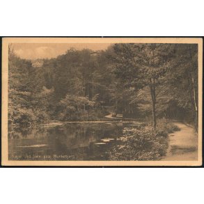 Vejle - Ved S&oslash;en paa Munkebjerg - Papyrus 41049