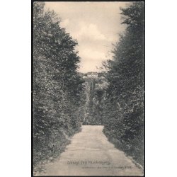 Udsigt fra Munkebjerg N.J. Mehlsen 4798