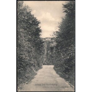 Udsigt fra Munkebjerg N.J. Mehlsen 4798