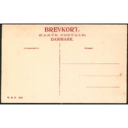 Parti af Velling Skov - WKF 1648
