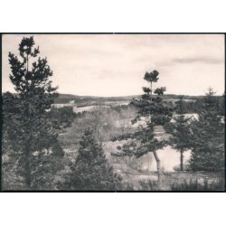 Udsigt fra Vrads Sande - Oluf L&oslash;vsted 12339