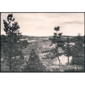 Udsigt fra Vrads Sande - Oluf Løvsted 12339